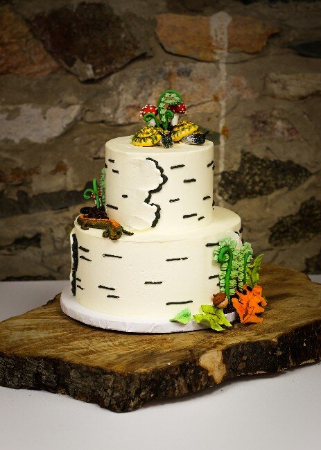 Virginia's best custom wedding cakes, farm to table dessert table & dessert grazing table  | luray, charlottesville, loudoun county, culpeper, harrisonburg, northern virginia 